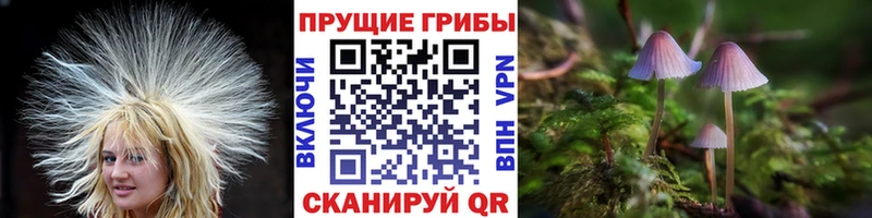 Галлюциногенные грибы прущие грибы  Щёлково 